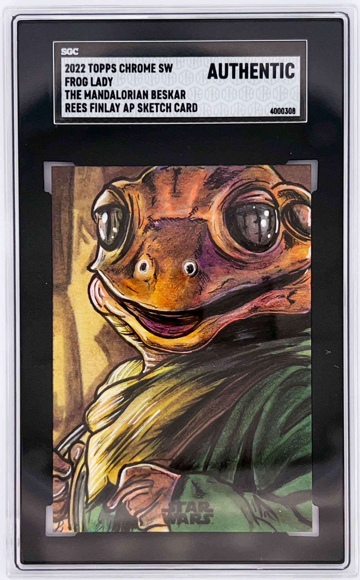 frog lady by rees finlay