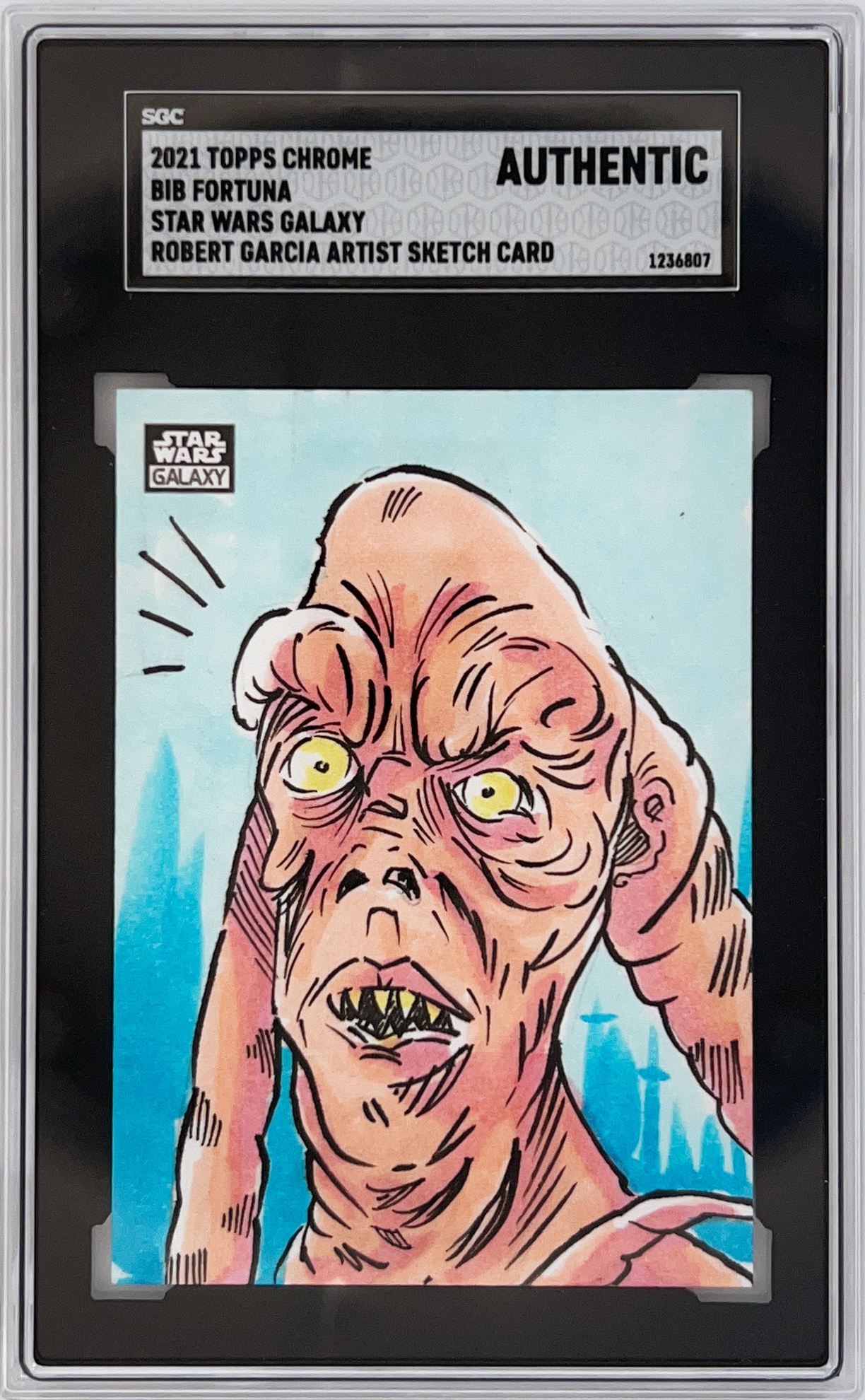 bib fortuna by robert garcia